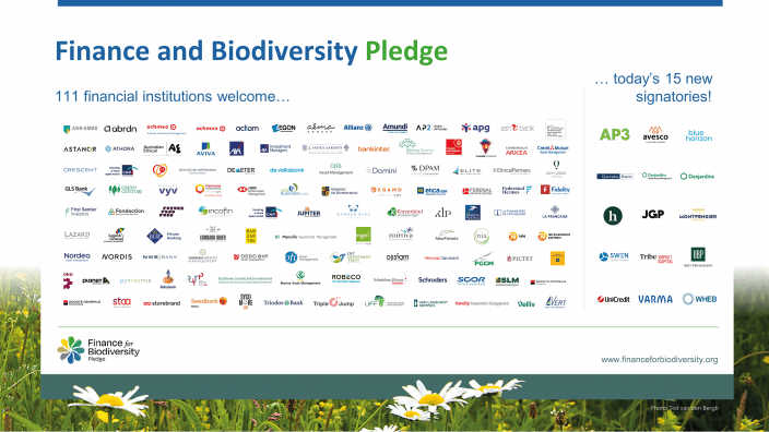 4  Finance for Biodiversity new signatories Dec2022