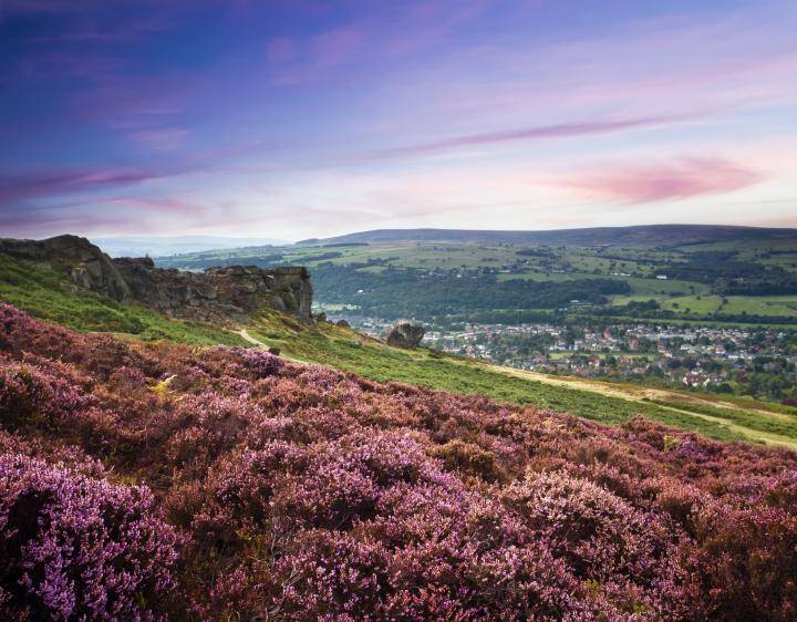 Ilkey Moor image 