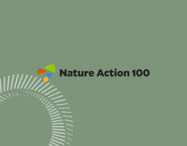 NA100 logo 600h 