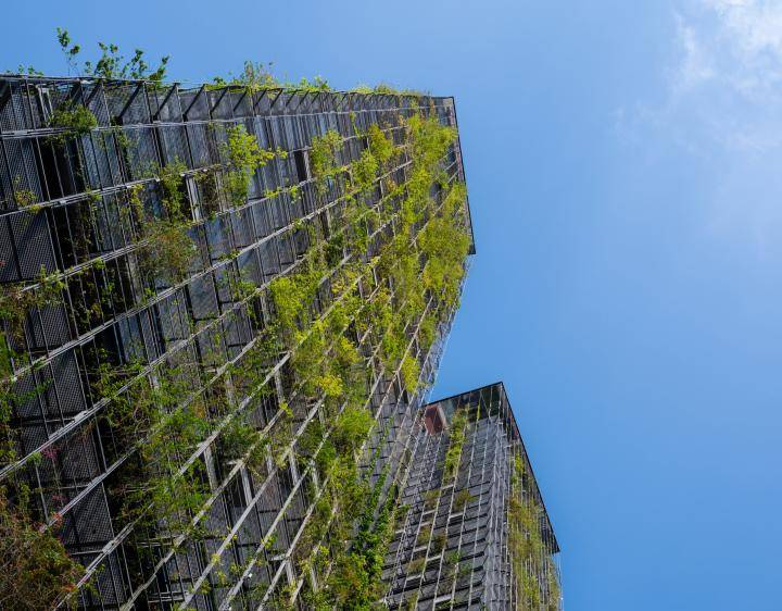 Scaling growth