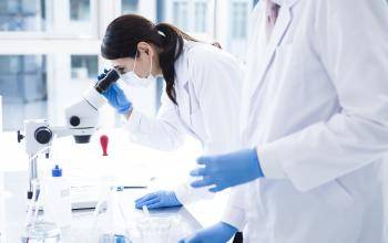 Lab work
