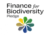 Finance for Biodiversity pledge 