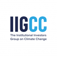 Institutional Investors Group logo 