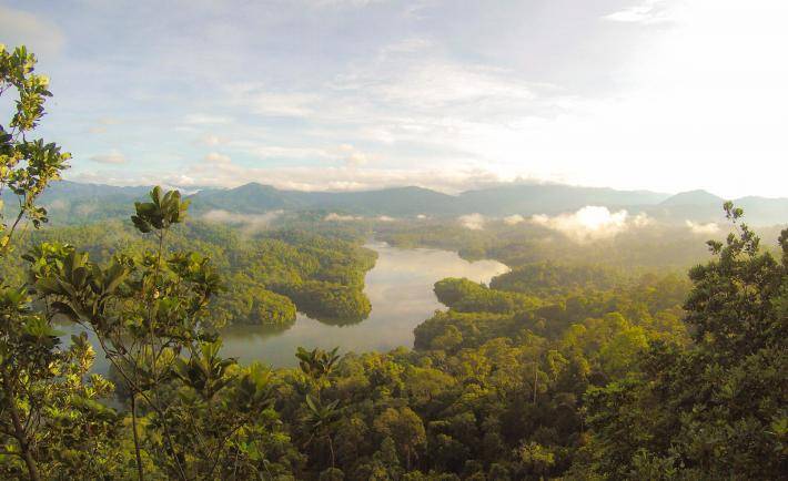 Cover website Finance for Biodiversity Pledge eutah mizushima OWwK 0 EnxY unsplash