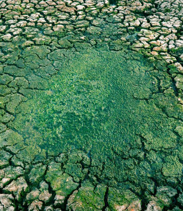 Cracked land drought