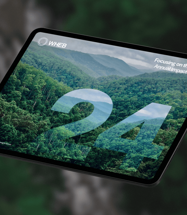 Website asset smaller