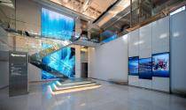 Claire xylem 3 