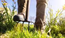 Gardening 