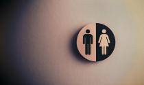 Gender diversity smaller 