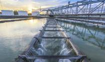 Water management 5 