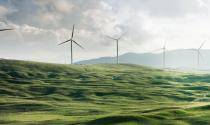windmills q2 