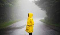 yellow raincoat 