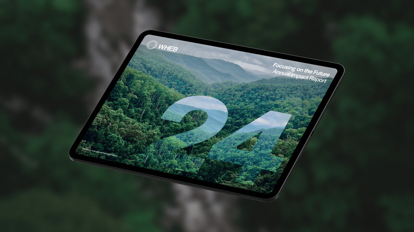 Website asset   smaller 
